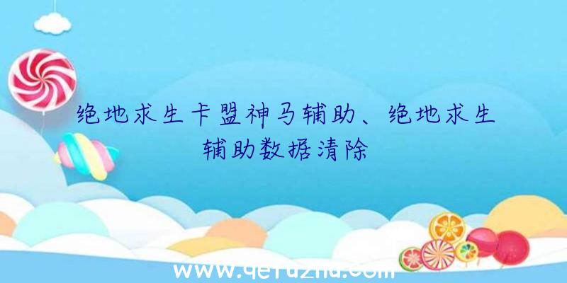 绝地求生卡盟神马辅助、绝地求生辅助数据清除