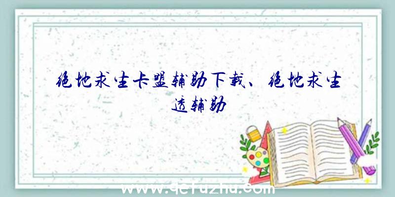 绝地求生卡盟辅助下载、绝地求生透辅助