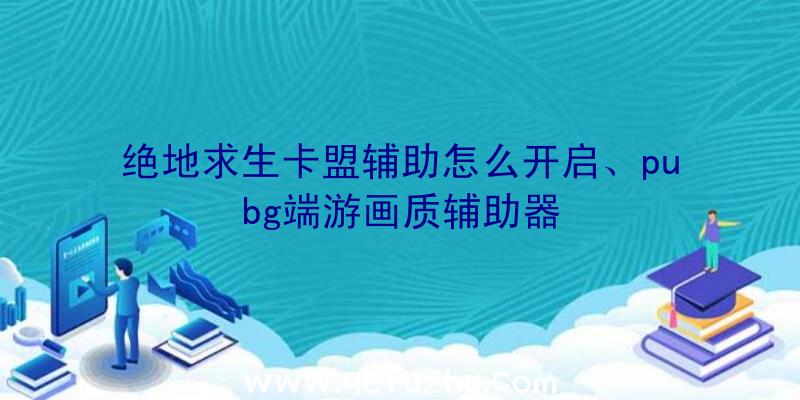 绝地求生卡盟辅助怎么开启、pubg端游画质辅助器