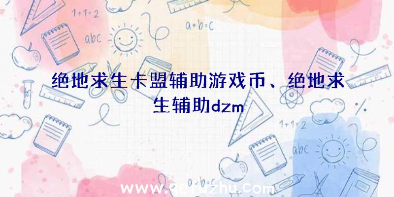 绝地求生卡盟辅助游戏币、绝地求生辅助dzm