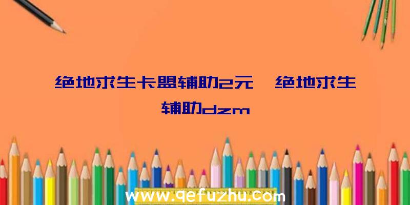 绝地求生卡盟辅助2元、绝地求生辅助dzm