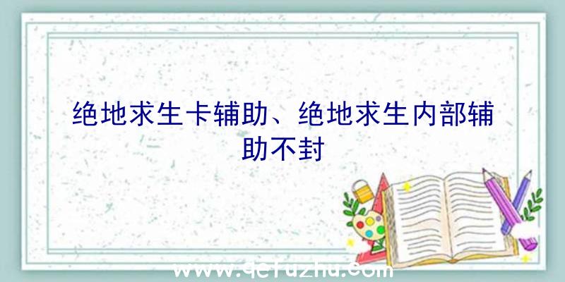 绝地求生卡辅助、绝地求生内部辅助不封