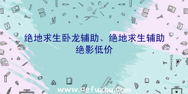 绝地求生卧龙辅助、绝地求生辅助绝影低价