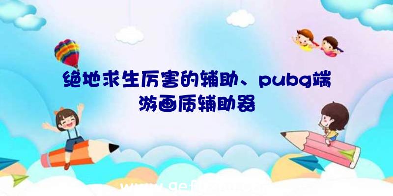 绝地求生厉害的辅助、pubg端游画质辅助器