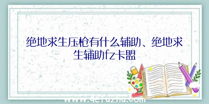 绝地求生压枪有什么辅助、绝地求生辅助fz卡盟