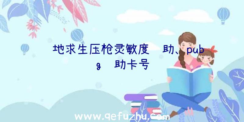 绝地求生压枪灵敏度辅助、pubg辅助卡号