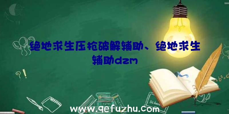 绝地求生压枪破解辅助、绝地求生辅助dzm