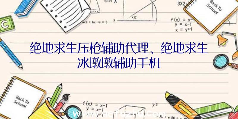 绝地求生压枪辅助代理、绝地求生冰墩墩辅助手机