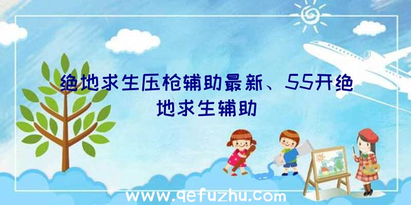 绝地求生压枪辅助最新、55开绝地求生辅助