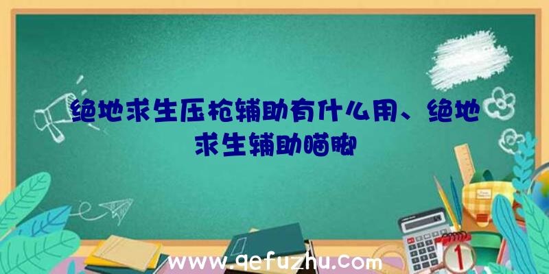 绝地求生压枪辅助有什么用、绝地求生辅助瞄脚