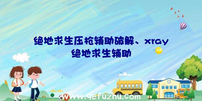 绝地求生压枪辅助破解、xray绝地求生辅助