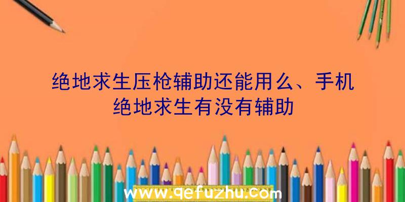 绝地求生压枪辅助还能用么、手机绝地求生有没有辅助