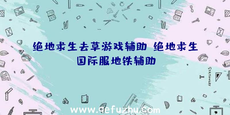 绝地求生去草游戏辅助、绝地求生国际服地铁辅助