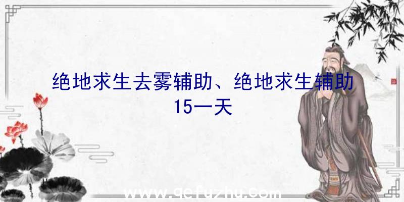 绝地求生去雾辅助、绝地求生辅助15一天