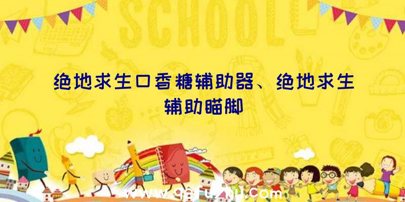 绝地求生口香糖辅助器、绝地求生辅助瞄脚