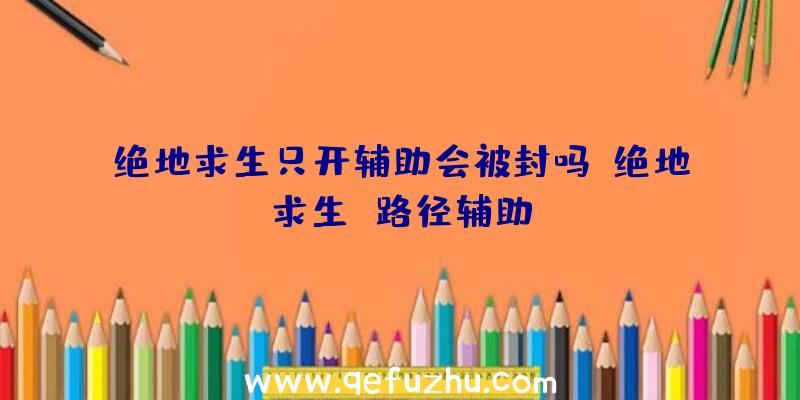 绝地求生只开辅助会被封吗、绝地求生