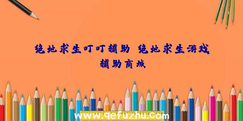 绝地求生叮叮辅助、绝地求生游戏辅助商城