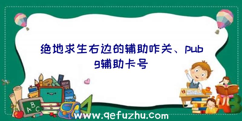 绝地求生右边的辅助咋关、pubg辅助卡号