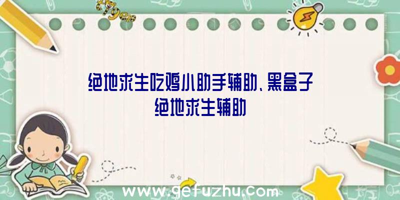 绝地求生吃鸡小助手辅助、黑盒子绝地求生辅助