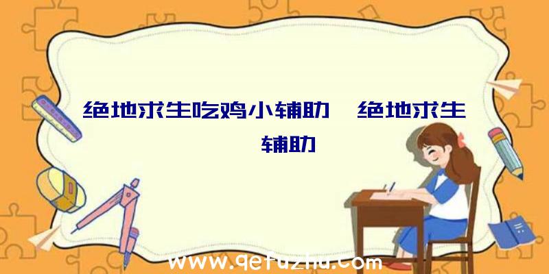 绝地求生吃鸡小辅助、绝地求生迪迦辅助