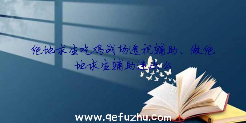 绝地求生吃鸡战场透视辅助、做绝地求生辅助违法么