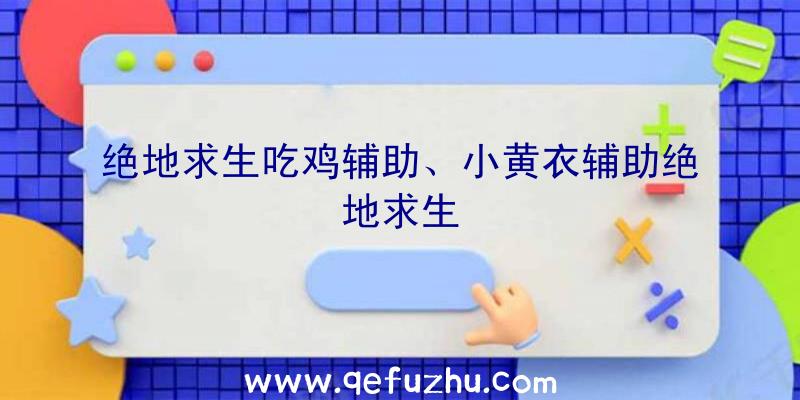 绝地求生吃鸡辅助、小黄衣辅助绝地求生