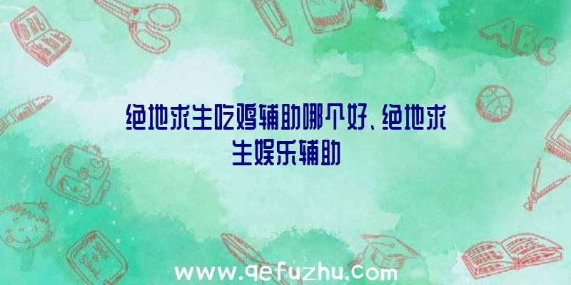 绝地求生吃鸡辅助哪个好、绝地求生娱乐辅助