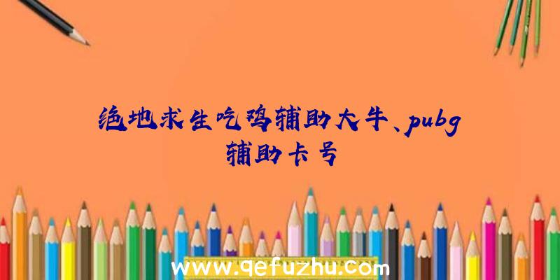 绝地求生吃鸡辅助大牛、pubg辅助卡号