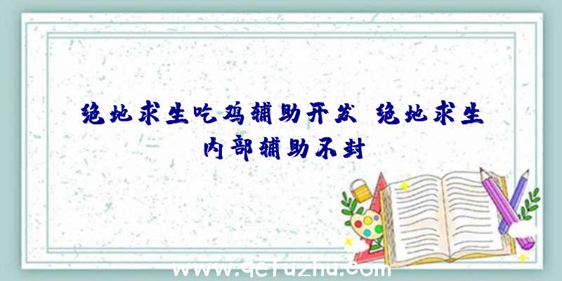 绝地求生吃鸡辅助开发、绝地求生内部辅助不封