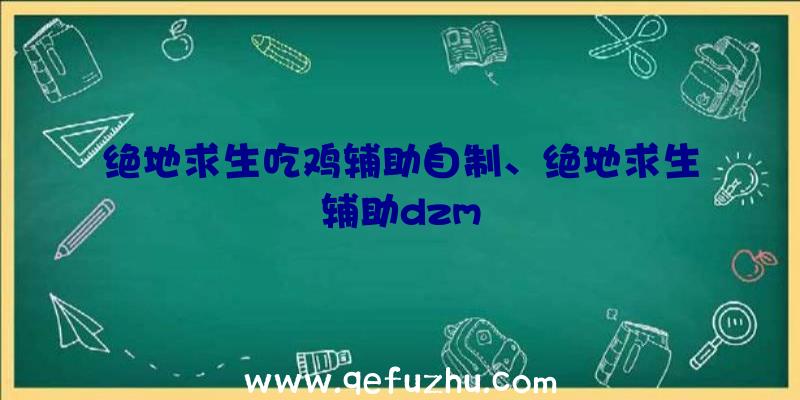 绝地求生吃鸡辅助自制、绝地求生辅助dzm