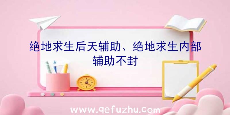 绝地求生后天辅助、绝地求生内部辅助不封