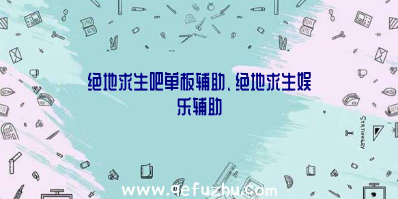 绝地求生吧单板辅助、绝地求生娱乐辅助