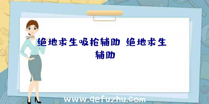 绝地求生吸枪辅助、绝地求生TV辅助