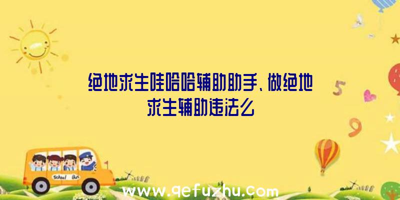 绝地求生哇哈哈辅助助手、做绝地求生辅助违法么