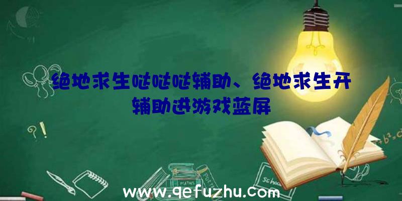 绝地求生哒哒哒辅助、绝地求生开辅助进游戏蓝屏