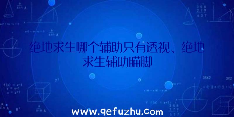 绝地求生哪个辅助只有透视、绝地求生辅助瞄脚