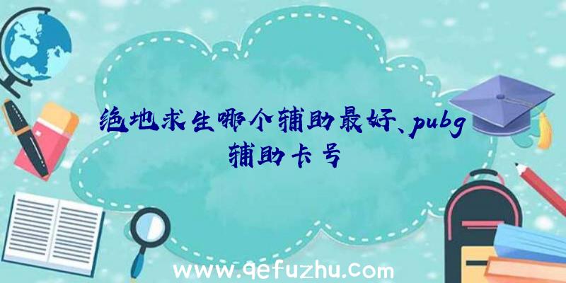 绝地求生哪个辅助最好、pubg辅助卡号