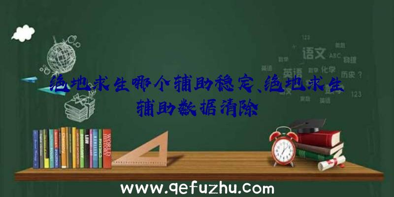 绝地求生哪个辅助稳定、绝地求生辅助数据清除