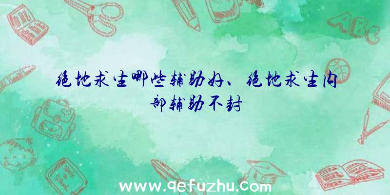 绝地求生哪些辅助好、绝地求生内部辅助不封