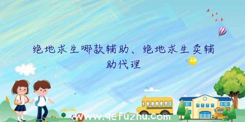 绝地求生哪款辅助、绝地求生卖辅助代理