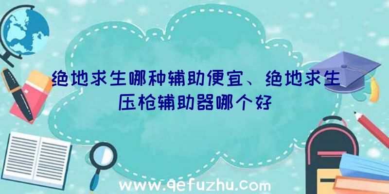 绝地求生哪种辅助便宜、绝地求生压枪辅助器哪个好