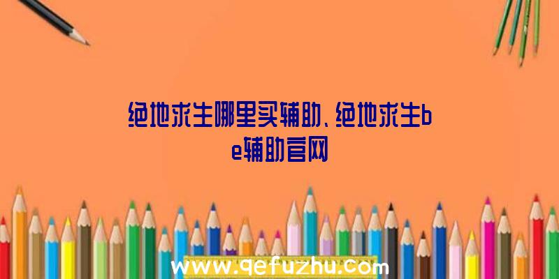 绝地求生哪里买辅助、绝地求生be辅助官网