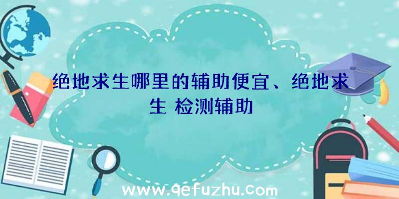 绝地求生哪里的辅助便宜、绝地求生