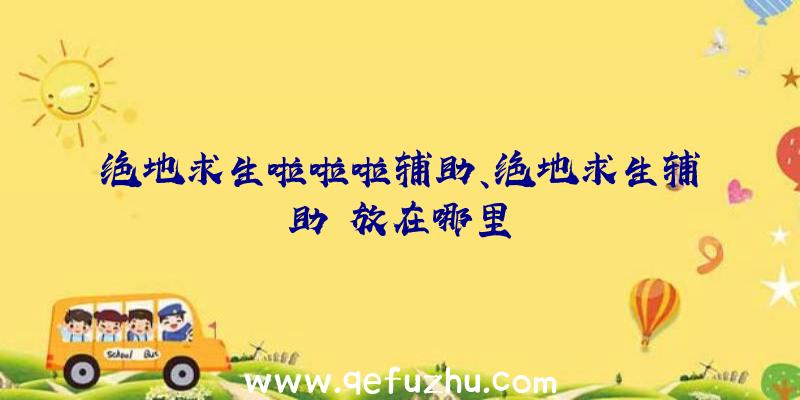 绝地求生啦啦啦辅助、绝地求生辅助