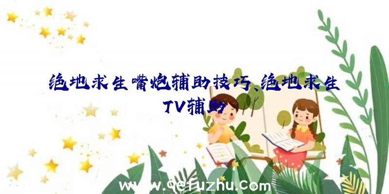 绝地求生嘴炮辅助技巧、绝地求生TV辅助