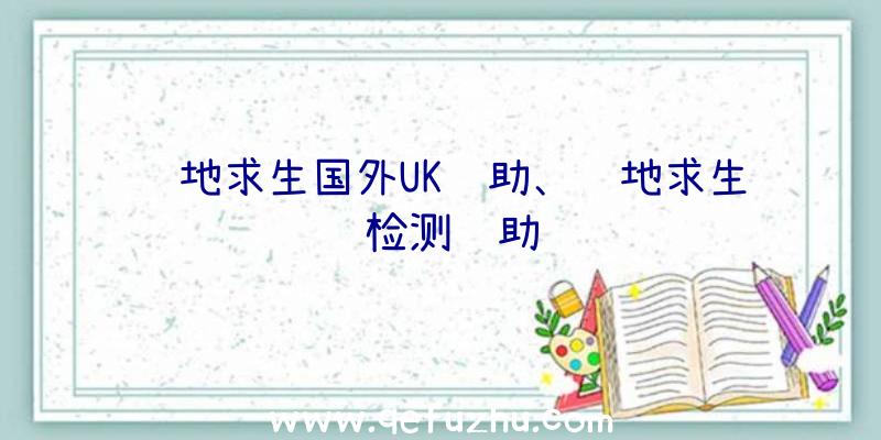 绝地求生国外UK辅助、绝地求生