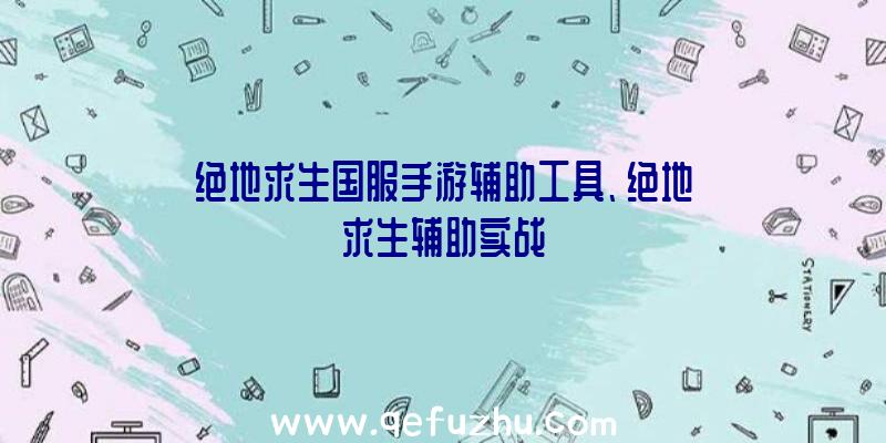 绝地求生国服手游辅助工具、绝地求生辅助实战