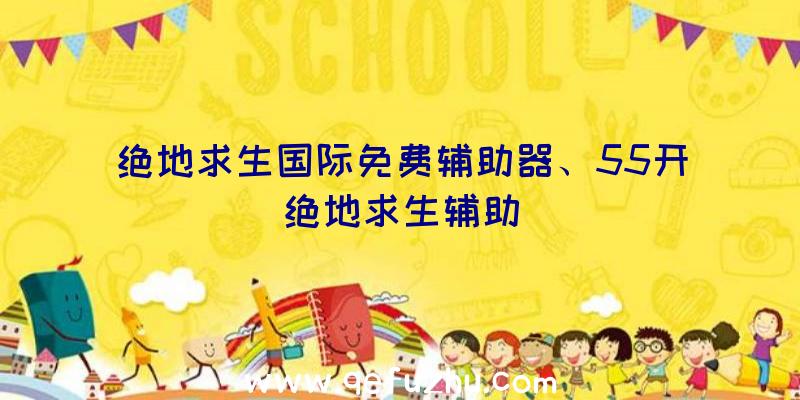 绝地求生国际免费辅助器、55开绝地求生辅助