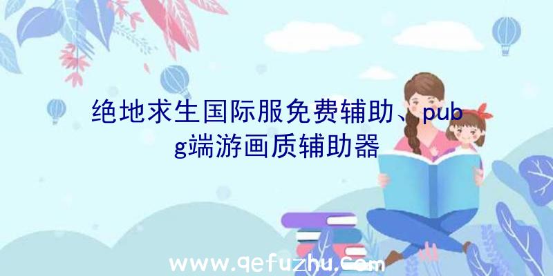 绝地求生国际服免费辅助、pubg端游画质辅助器