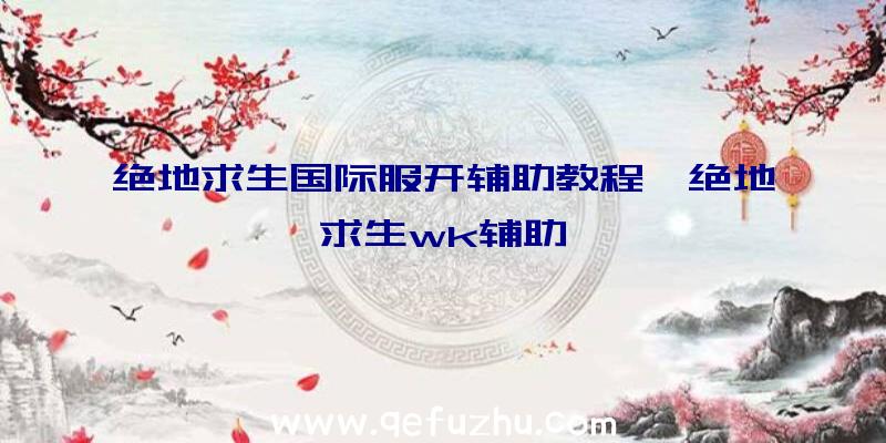 绝地求生国际服开辅助教程、绝地求生wk辅助